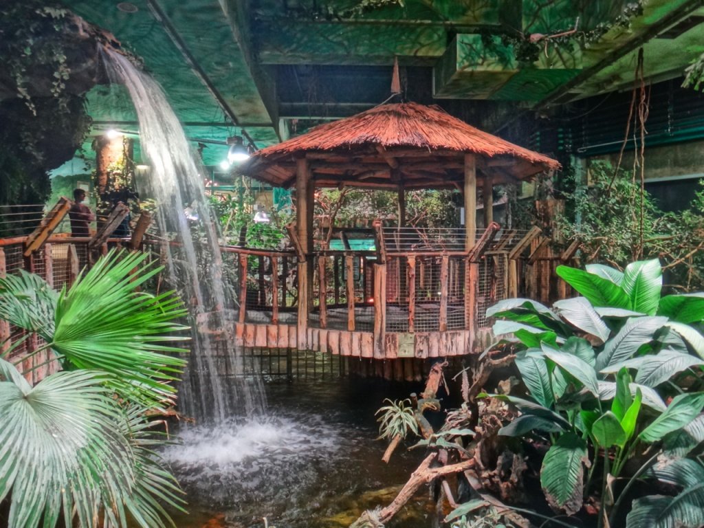 Tropicarium A c p s llatkert Budapest K zelben.hu