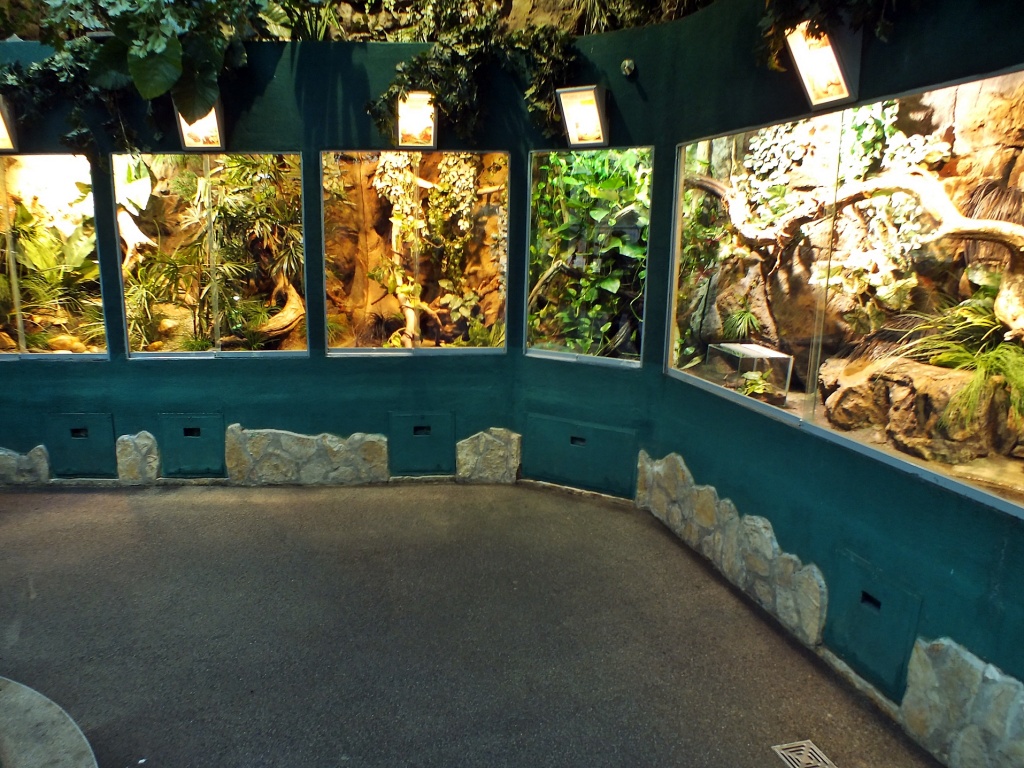 Tropicarium A c p s llatkert Budapest K zelben.hu